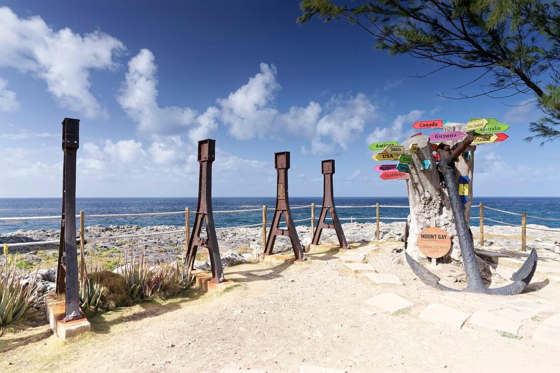 Northern Wonders Tour (North Coast)